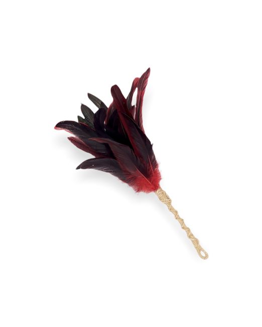 feather wand
